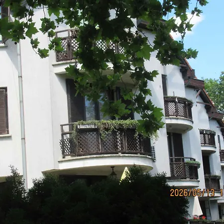 Apartment Beachfront In Csopak-balaton 58006